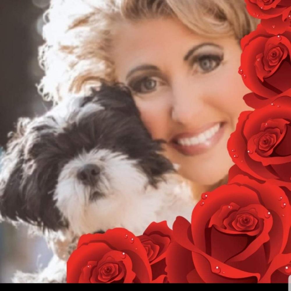 Meet your Posher, Jodi